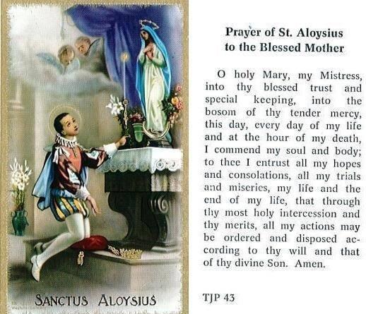 Prayer Card of Saint Aloysius To the Blessed Mother Laminated TJP - Ysleta Mission Gift Shop