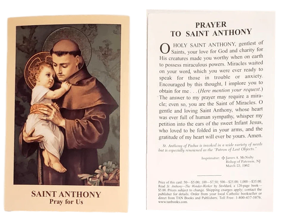 Prayer Card Prayer To Saint Anthony Pray For Us No Laminated NC - Ysleta Mission Gift Shop