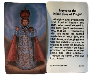 Prayer Card Prayer To The Infant Jesus Of Prague Mini Pocket Laminated A - Ysleta Mission Gift Shop