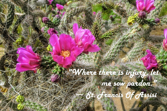 Cholla Cactus Photo Print with St. Francis Quote: "Sow Pardon" – Matted, Ready to Frame