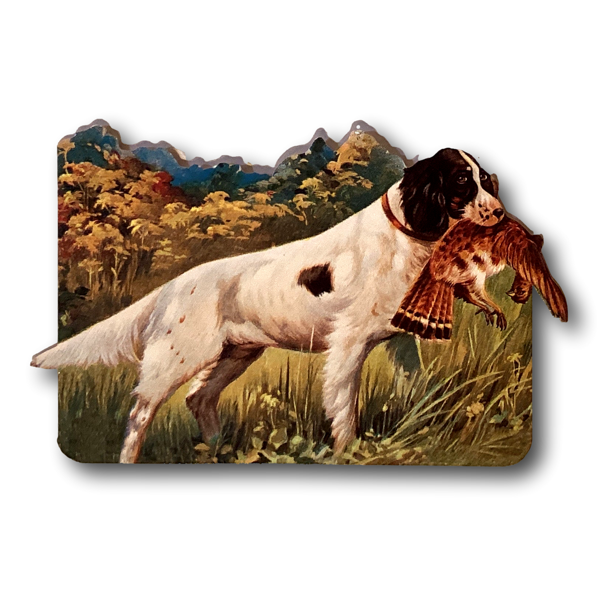 Blank vintage-style recreational sports notecards from Ysleta Mission Gift Shop, 5x4 inch stationery for writing notes or messages.