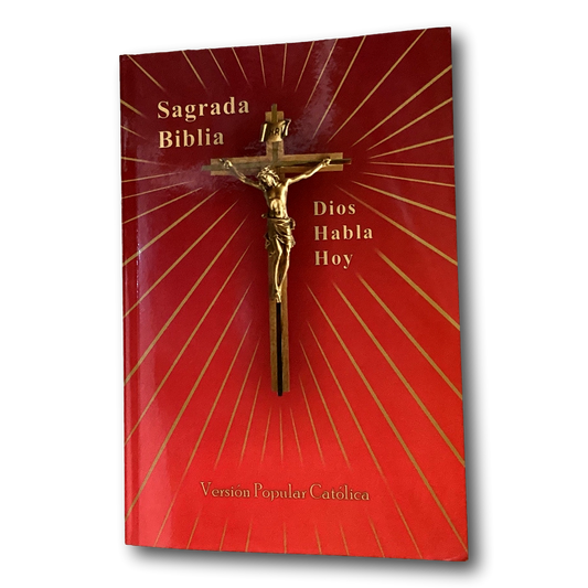 Used Spanish Catholic Bible, Sagrada Biblia Dios Habla Hoy, with cover visible, from Ysleta Mission Gift Shop.