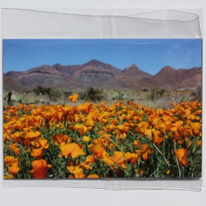 Poppies Franklin Mountains magnet by Miguel Martinez, 2.5 x 3.5 inches, featuring vibrant poppy flower design on souvenir magnet.