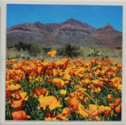 Ceramic Coaster with Mexican Poppies Design – 4x4 inches, Cork Backing