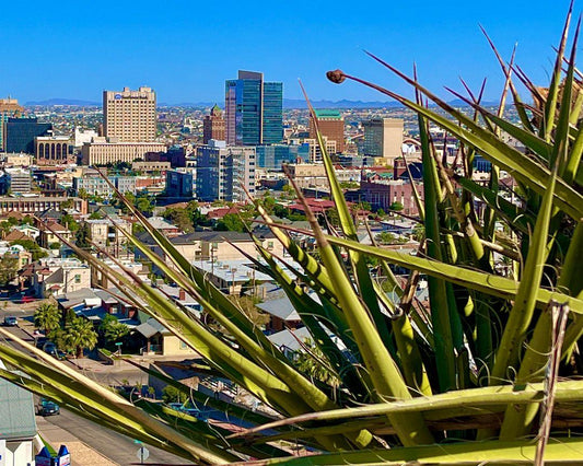 Downtown El Paso postcard featuring original urban landscape photograph by Susan W Perez, 4.25 x 5.5 inches.