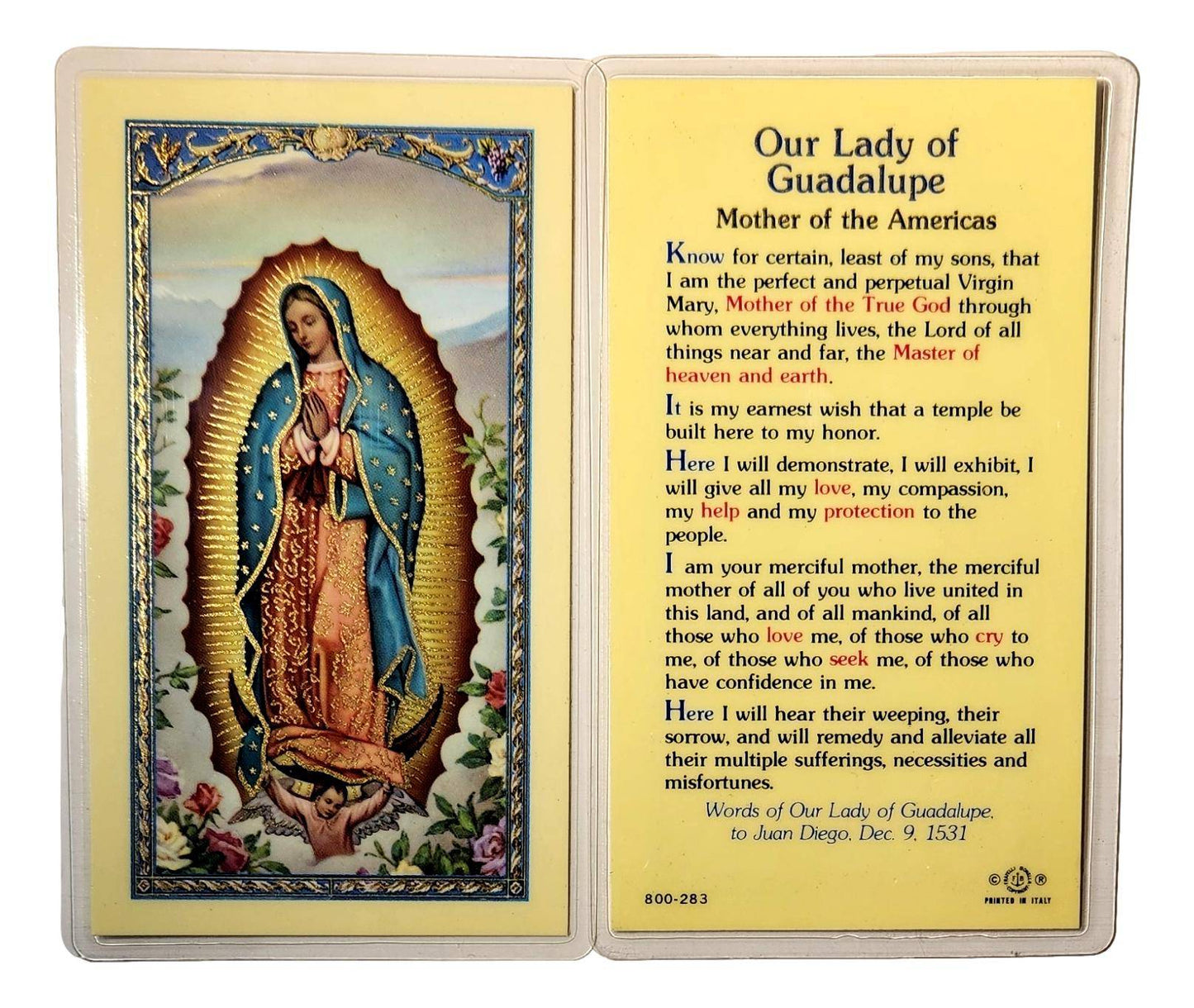 Laminated Prayer Card – Our Lady of Guadalupe "Mother of the Americas"