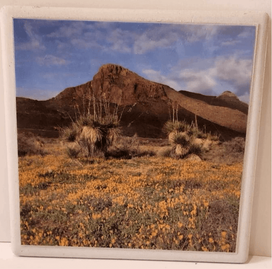 Mexican Poppies Coaster – Ceramic with Cork Backing 4x4 inches