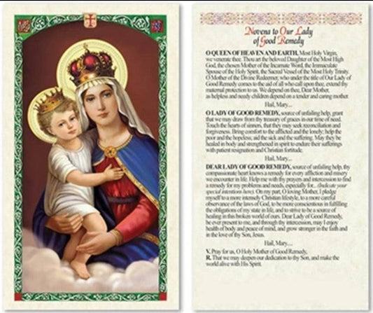 Prayer Card Novena Prayer To Our Lady Of Good Remedy No Laminated CC