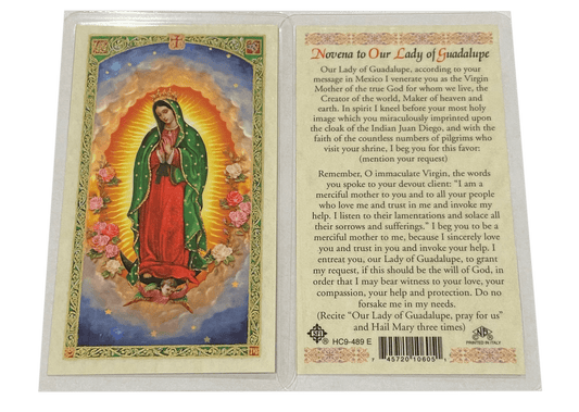 Prayer Card Novena to Our Lady of Guadalupe Laminated English HC9-489E