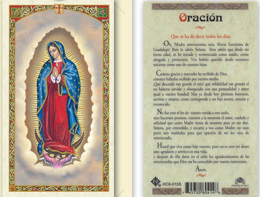 Prayer Card Oracion Que Se Ha De Decir Todos Los Dias Laminated HC9-015S