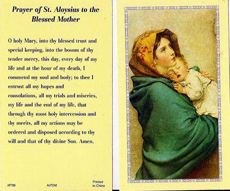 Prayer Card Prayer Of Saint Aloysius To The Blessed Mother Laminated AF