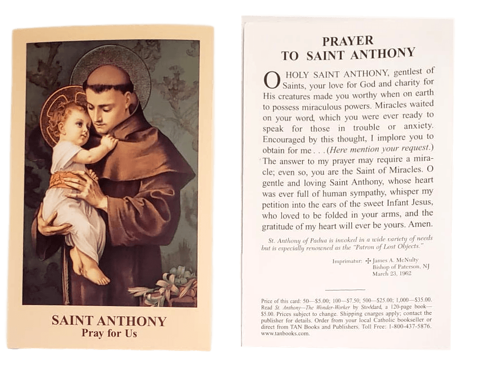 Prayer Card Prayer To Saint Anthony Pray For Us No Laminated NC