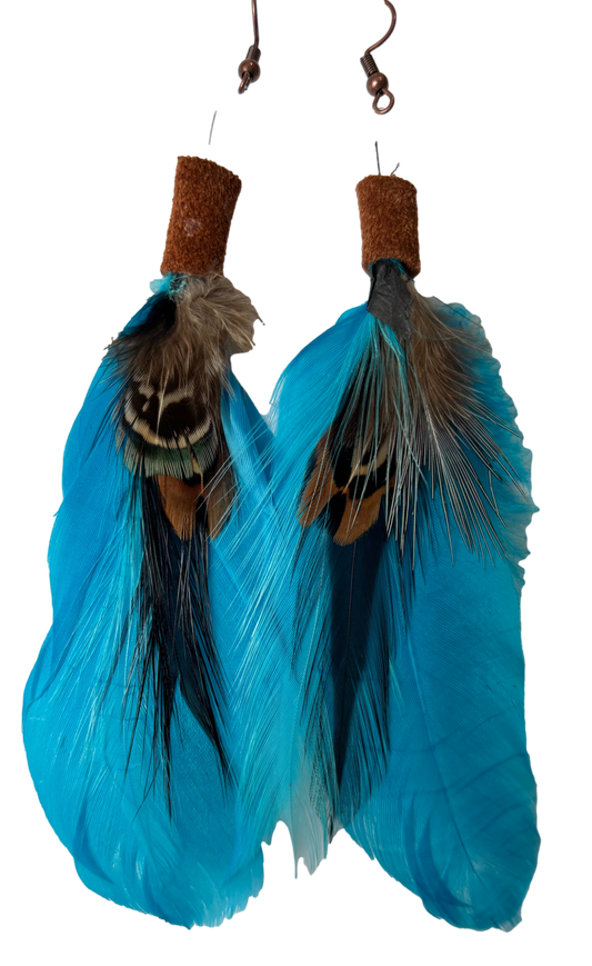 Turquoise feather earrings by Consuelo Barraza featuring vibrant feather design and silver hooks for jewelry and accessories.