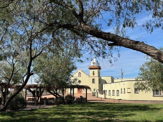 Ysleta Mission Trees Matted Photo Print – 4x6