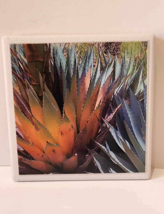 Yucca Cactus Coaster – Ceramic with Cork Backing 4x4 inches