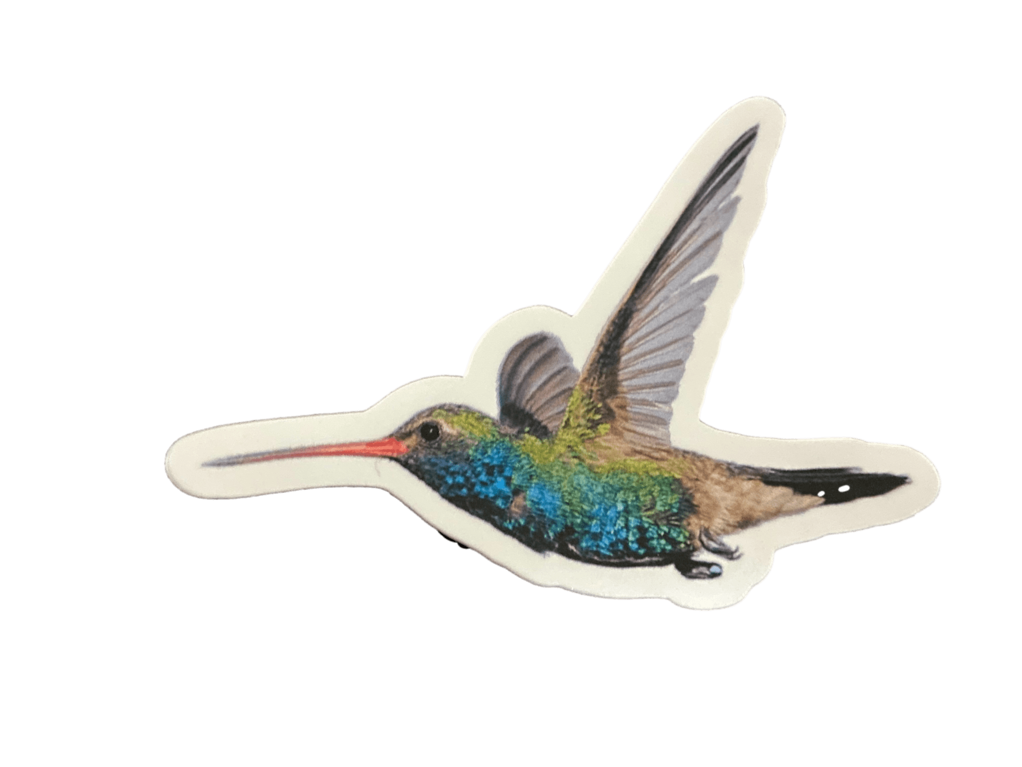 Stickers 3 in. Hummingbird Themed High Quality PVC Vinyl Decorative Water-Resistant Glossy UV Resistant - Ysleta Mission Gift Shop- VOTED El Paso's Best Gift Shop